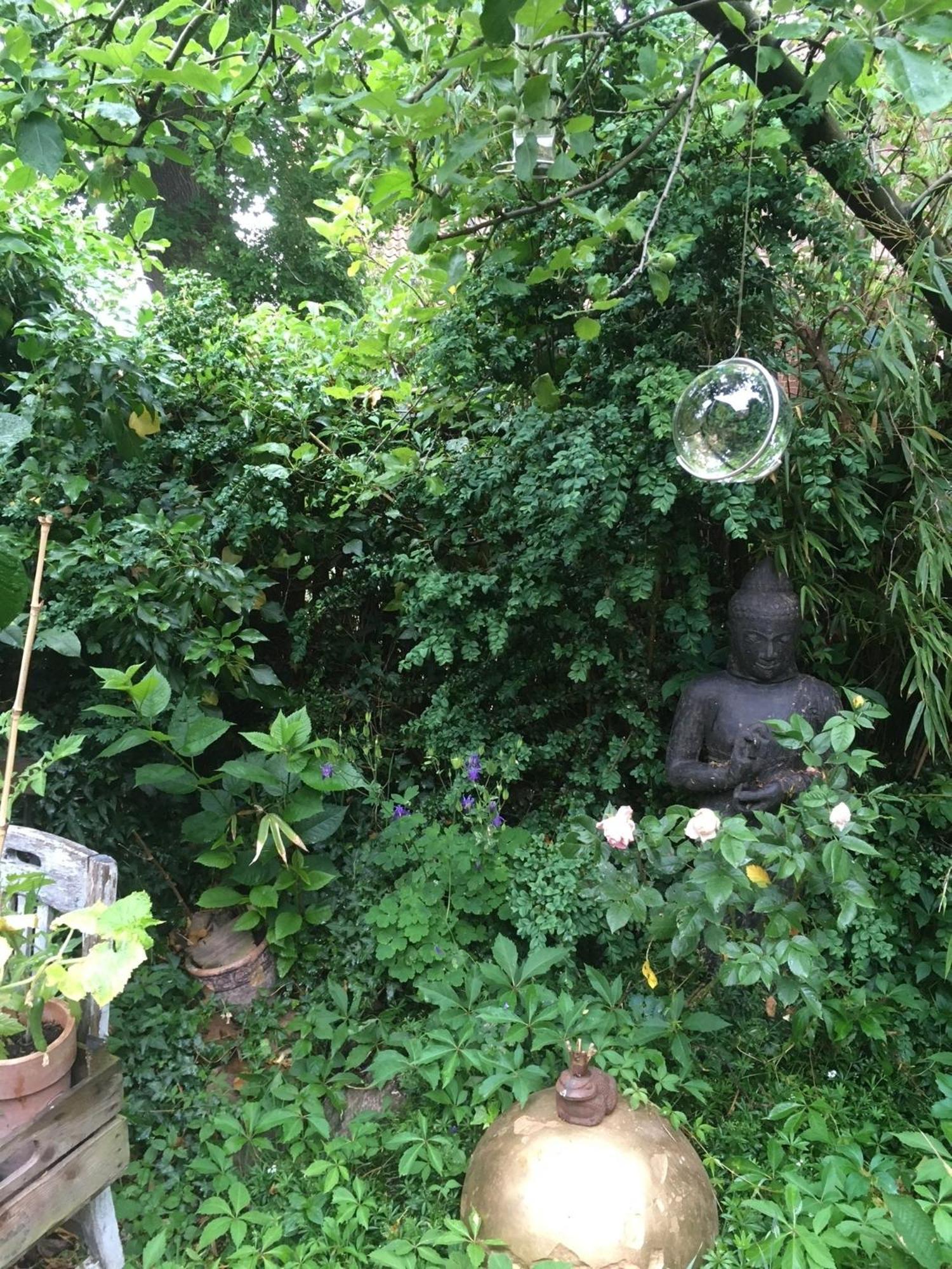 Grosse Hobbithoehle Mit Gemeinschaftsgarten Neustadt am Rubenberge Ngoại thất bức ảnh
